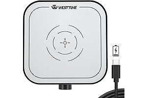 Brushless Magnetic Stirrer Mixer with Max 3000ml Capacity and Stir Bar