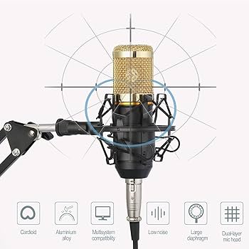 Amazon.co.jp: コンデンサーマイクバンドル、スタジオ録音放送