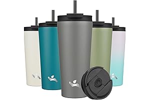 22oz Insulated Water Bottle Vacuum Travel Mug with Lid and Straws