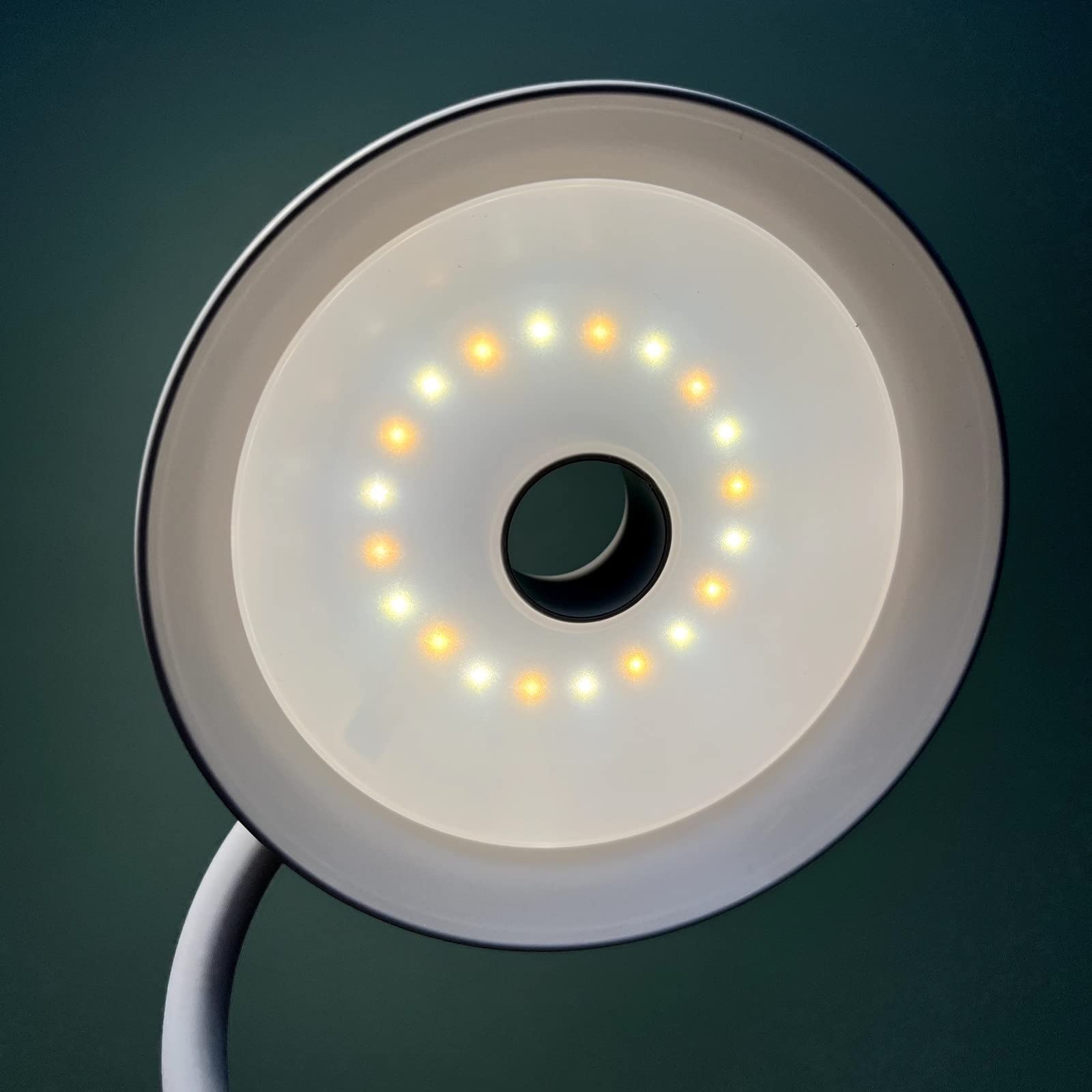 da da Lettura Bile a Clip con Luce a LED per Camera da Letto, da da scrivania, Letto, Bianca, a Batteria, a Collo di Cigno