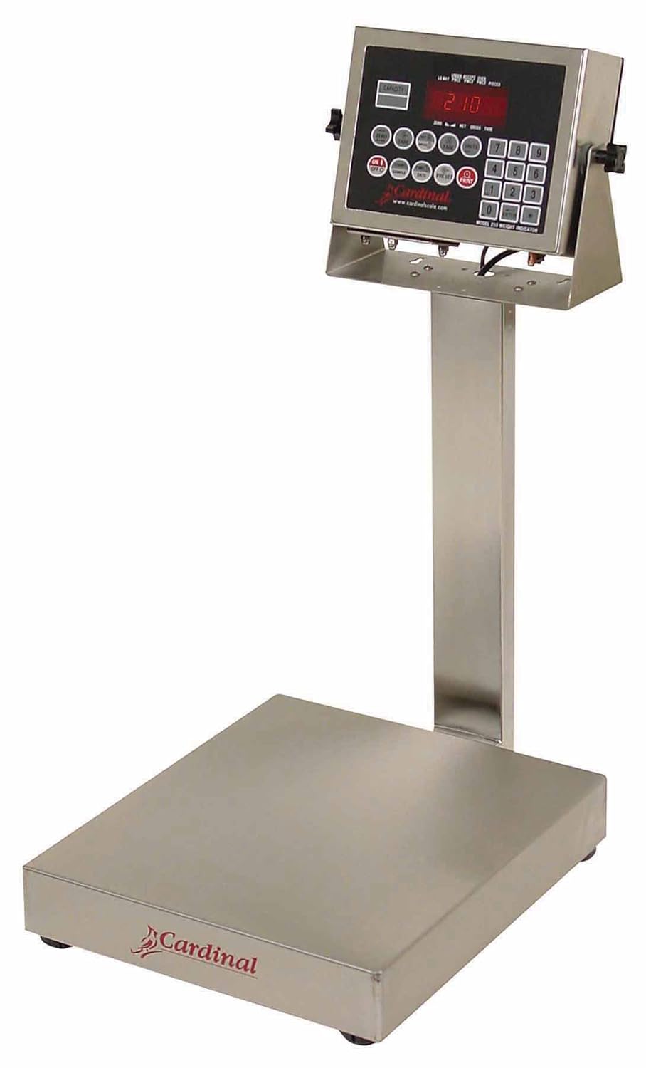 Detecto EB-30-210 Bench Scale, Electronic, 30 lb. Capacity, Stainless Steel, 210 Indicator, 12" x 10"