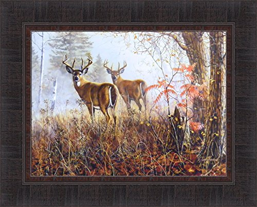 Double Vision by Jim Hansel 17x21 Buck Deer Framed Art