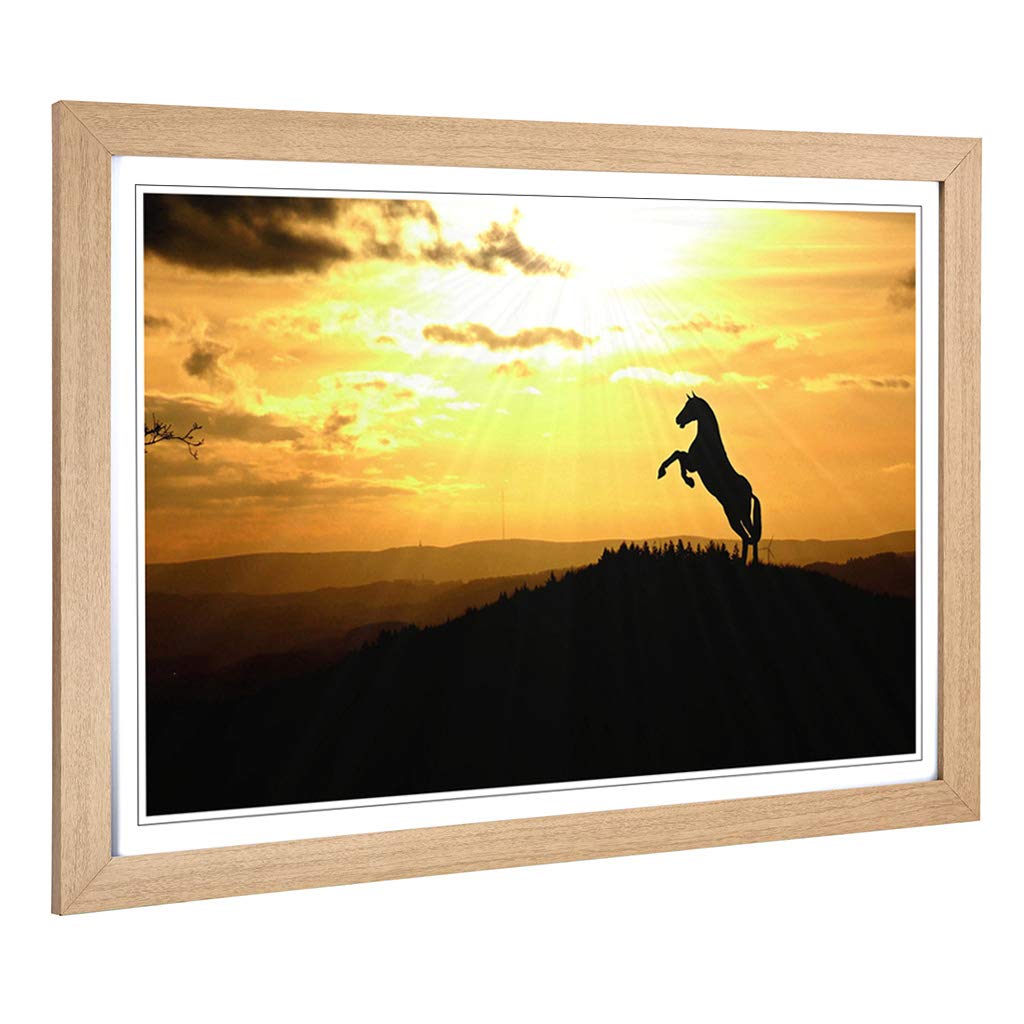 Big Box Art Framed Print of Horse in Sunlight Landscape Design | Wall Art Picture | Home Decor for Kitchen, Living, Dining Room, Bedroom, Hallway, Office, Oak, A2 / 24.5x18 Inch / 62x45cm