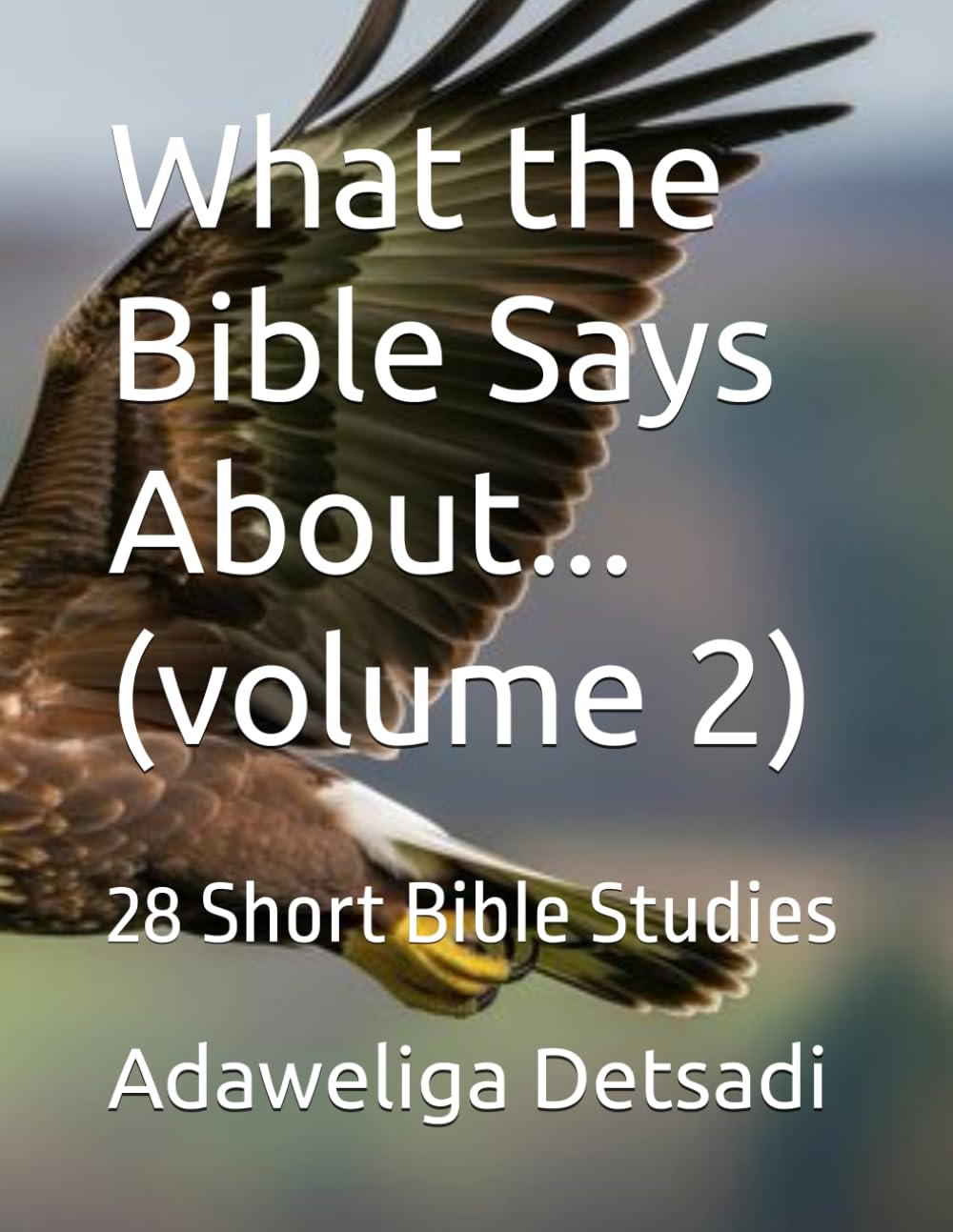 What the Bible Says About... (volume 2): 28 Short Bible Studies