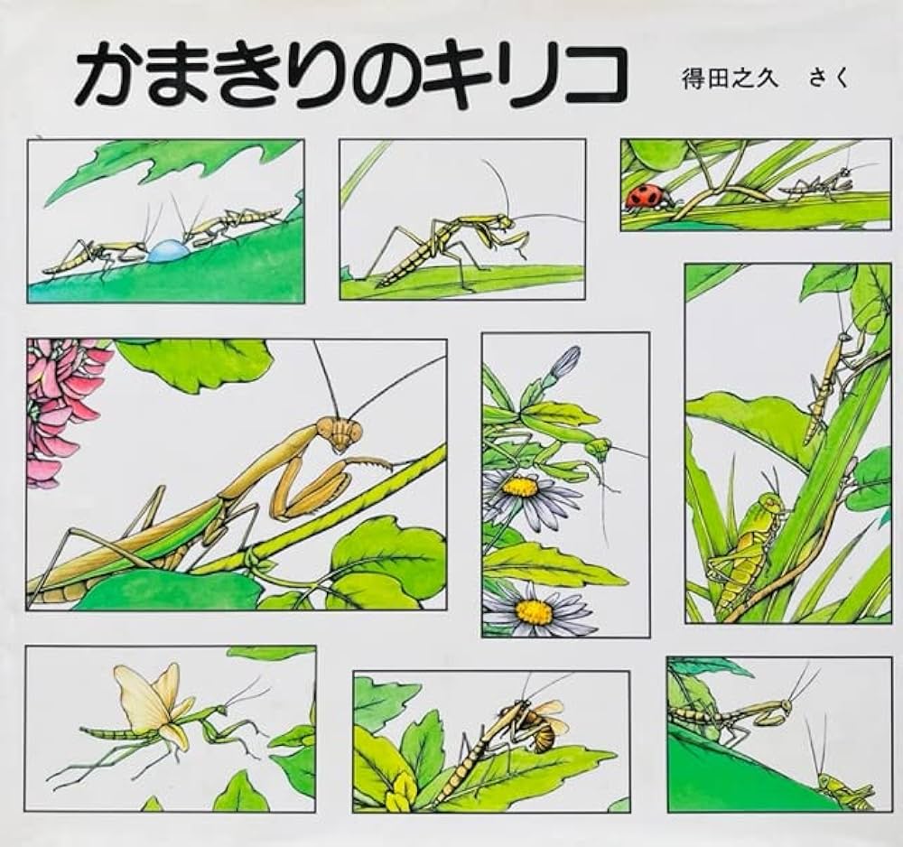 Amazon.co.jp: かまきりのキリコ (得田之久こん虫アルバム) : 得