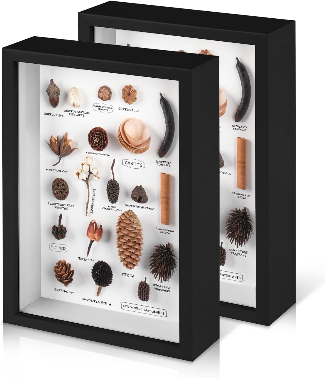 2 Pack 8x10 Shadow Box Frame with Plexiglass, Black