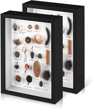 2 Pack 8x10 Shadow Box Frame with Plexiglass, Black