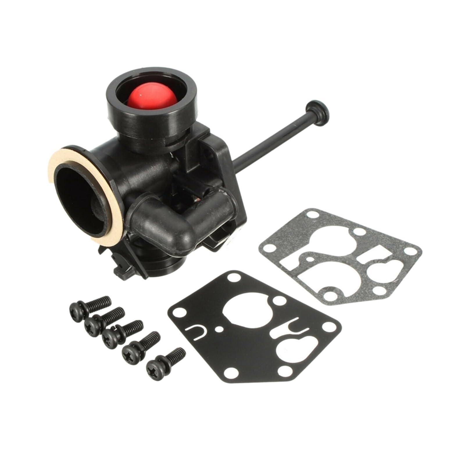 Carburateur tondeuse Briggs Stratton résout fuite et calage moteur 498809 Sprint