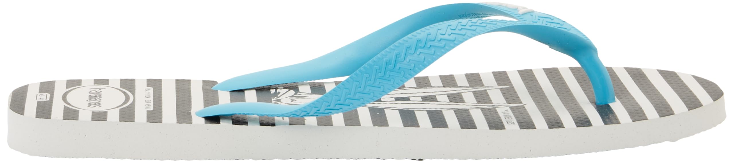 Havaianas Top Warner Logomania Unisex adulto Chanclas