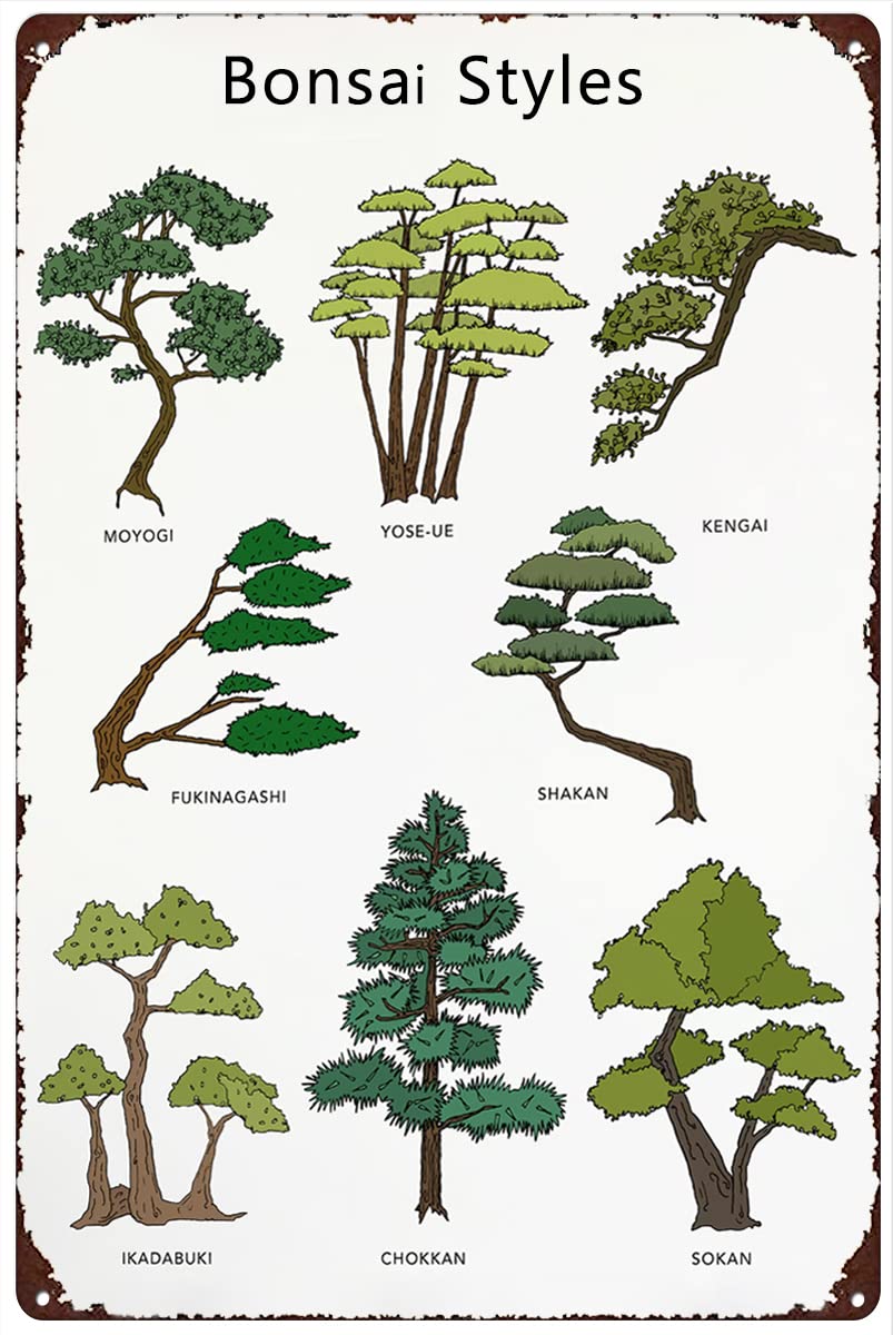 Retro Metal Tin Sign 5.5 X 8 Inches Types of Bonsai Poster Botanical Tree Poster Japanese Bonsai Lover Gift Bonsai Wall Art Decor Funny Wall Decor Nostalgic Arts Decor Novelty Decorative Crafts