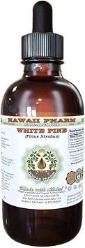 White Pine Alcohol-Free Liquid Extract, White Pine (Pinus Strobus) Dried Bark Glycerite Natural Herbal Supplement, Hawaii Pharm, USA 2 fl.oz