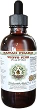 White Pine Alcohol-Free Liquid Extract, White Pine (Pinus Strobus) Dried Bark Glycerite Natural Herbal Supplement, Hawaii Pharm, USA 2 fl.oz