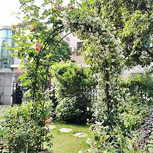 Recopilación y reviews de Arcos invernadero los más recomendados. 17 Imagen adicional