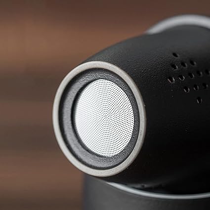 PRACHAND Ceramic Infusion Tea Mug with Infuser and Lid for Steeping Loose Leaf Tea, Chinese Modern Wooden Handle Diffuser Coffe Tea Cup for Home Office. 13.5oz (400ml) (White)