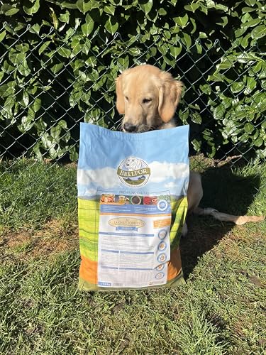 Bellfor Landgut-Schmaus Junior – Getreidefreies Trockenfutter für Welpen – 2,5 kg – Mit Insektenprotein, Hypoallergen & Besonders Verträglich für Junghunde