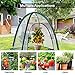 VIVOSUN Garden Netting Cover, 36 x 36 x 39 Inch Pop-up Guard Cover with Zip Entry for Plants, Vegetables, Fruits, Outdoor Run and Enclosure for Small Animals, 2-Pack, Green