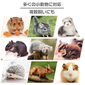 Amazon | IYOIYA モモンガ ケージ 大きい 3階建て フェレット