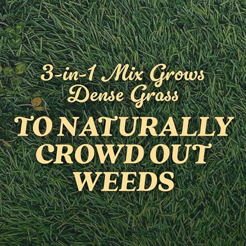 Image of O.M. Scott & Sons Tall Fescue Blend Grass Seed, 8 lbs. (2-Pack)