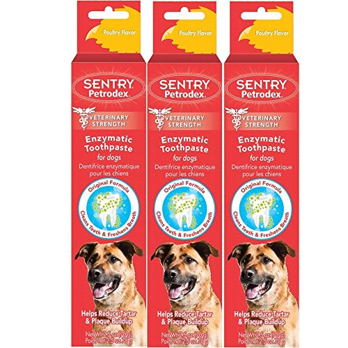 Best Bacon Flavor Toothpaste For Dogs 2024 Where to Buy
