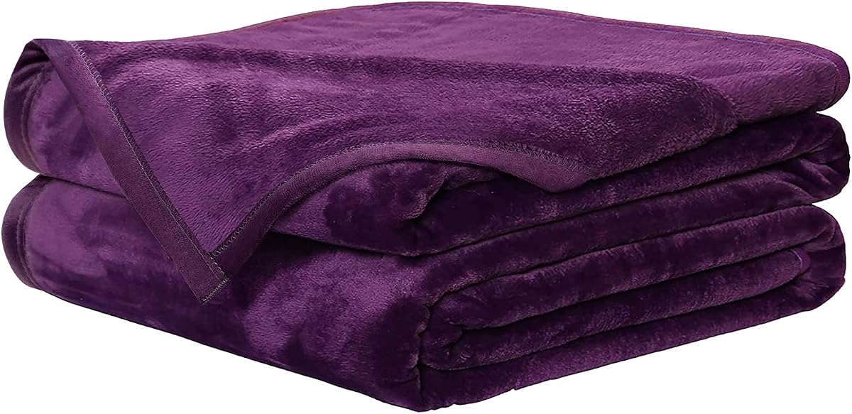 EASELAND Soft Lightweight Queen Size Fleece Blanket, Purple, 90x90 inches | Breathable Cozy Texture, Plush Flannel Warm Fabric, Anti-Static, Machine Washable, for Bed, Couch, Sofa