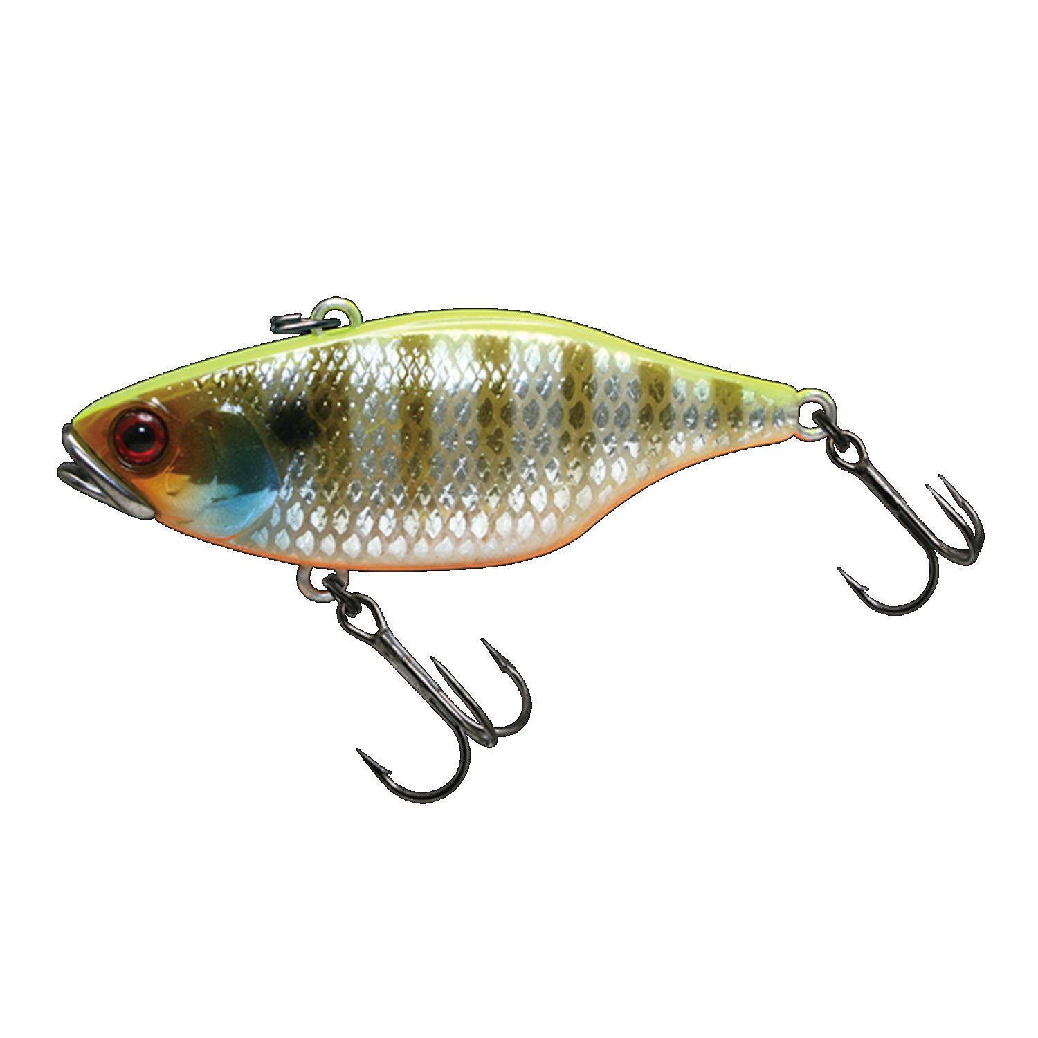 Amazon.com: Jackall TN 60 Regular Vibration Lure Uroko HL Chart