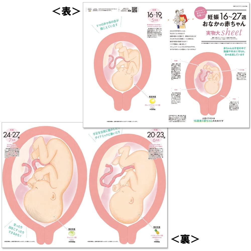 中期のたまごクラブ 22年 秋号 妊娠5 6 7カ月 たまごクラブ 本 通販 Amazon
