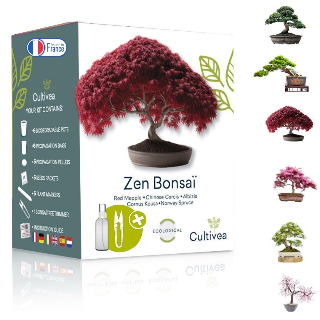 Bonsai Starter Kit  Set Bonsai Anzuchtset 6 verschiedene Bonsa-Samen   Wachstumsanleitung enthalten - Zchten Sie Ihren wunderschnen Bonsai   Geschenkidee fr Mnner und Frauen - CULTIVEA : Amazon.de: Garten
