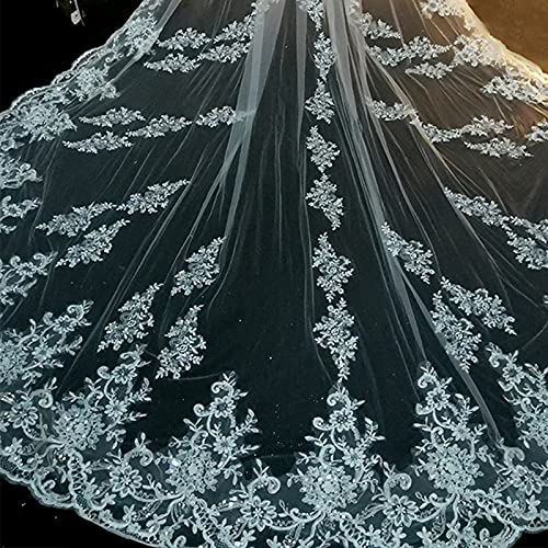 Wedding Accessory Luxury Long Bridal Veil White Ivory Wedding Veils With Comb Lace Edge Applique Elegant Cathedral Length 1 T (Color : White, Item Length : 500Cm) #TOP3