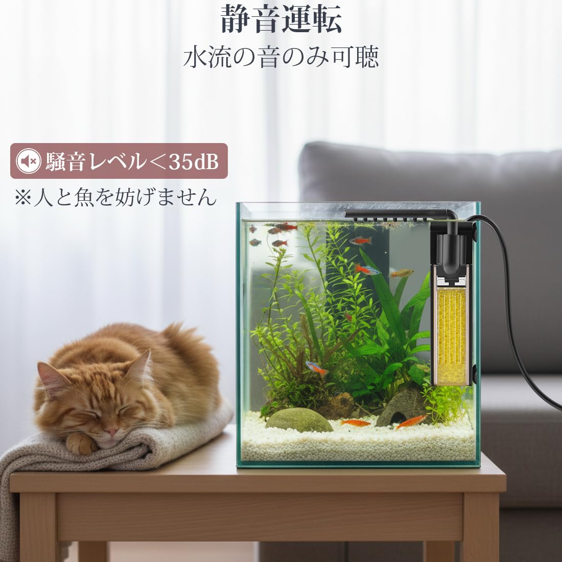 Amazon | FEDOUR 3W ミニ水中式水槽フィルター、静音5-30Lの小型魚用