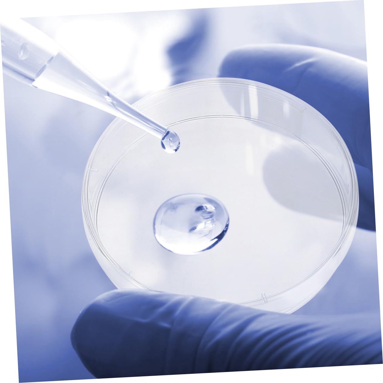 SOLUSTRE 40pezzi Piatti Petri Trasparenti Con Coperchio Per Esperimenti Di Laboratorio Per Colture Cellulari e Analisi Scientifiche