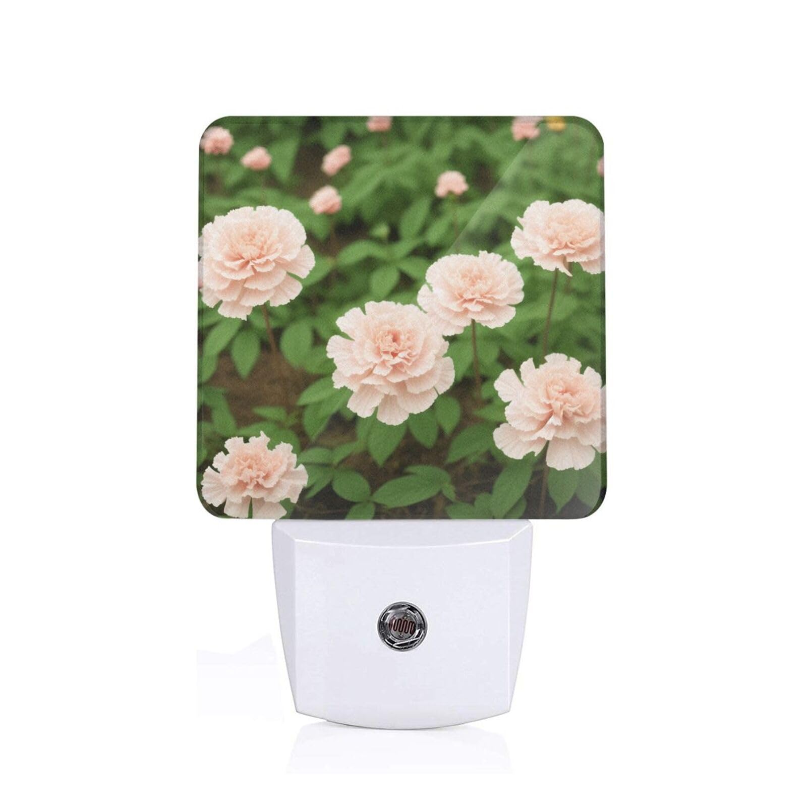 White Carnation Print Night Lights,Night Light Plug in Wall,Night Lights for Adults,Hallway,Kitchen, Plug in Night Lights for Bedroom, Corridor