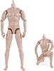 1/6 Scale Blank Action Figure Body with High Articulation, Realistic Muscle Definition, Skin Tone ABS Material for Custom Dolls, Posing, Display