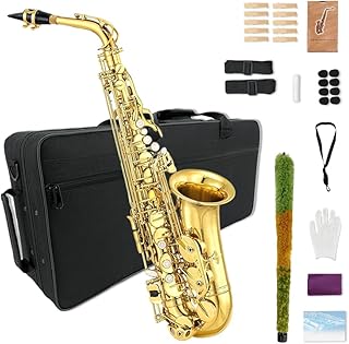 Alto Alto Saxophone Beginner Kit