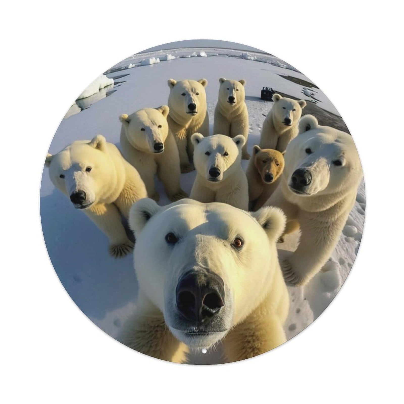 Funny Animals Polar Bear Family Selfie Metal Tin Sign