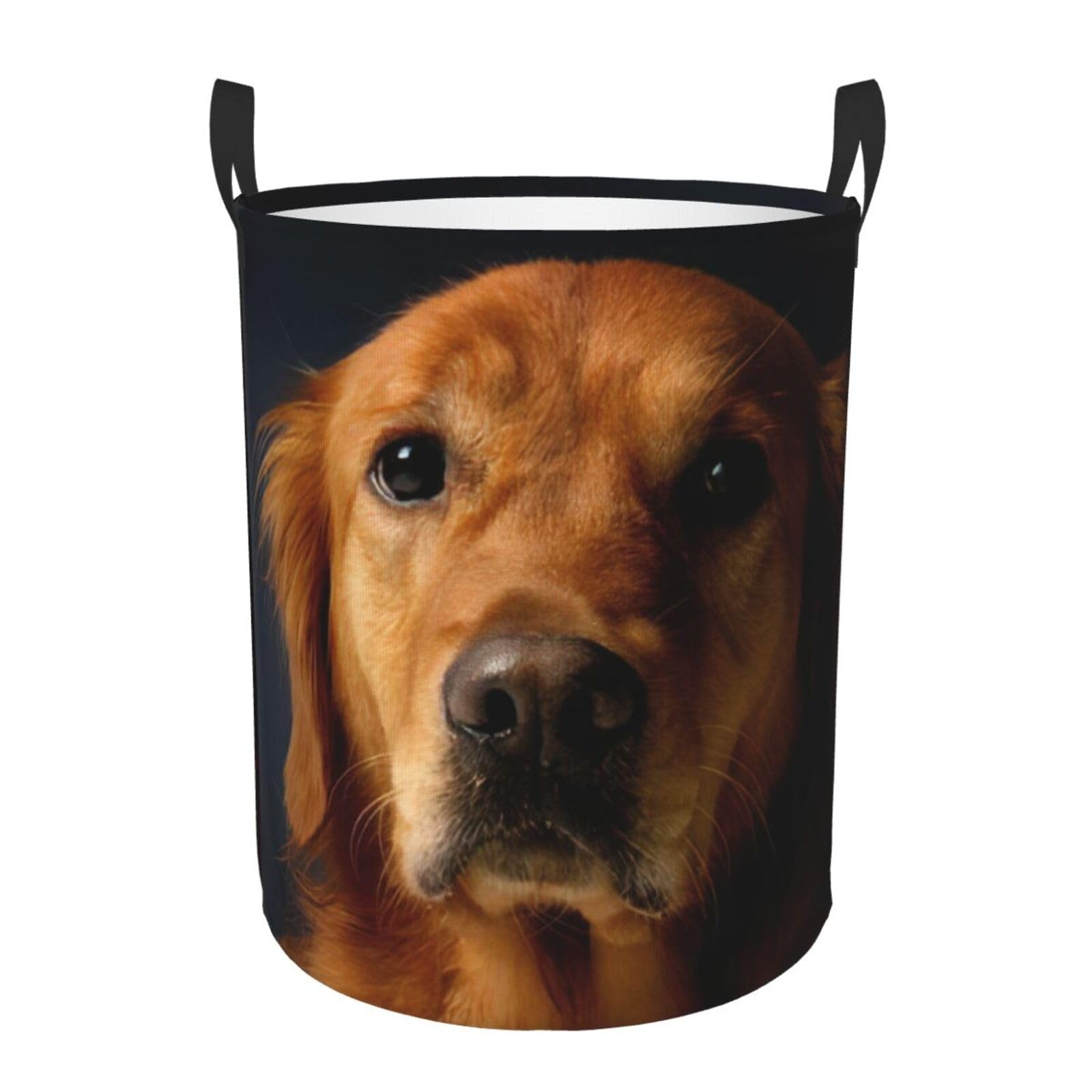 Panier à linge Golden Retriever grand format pour couvertures et linge de lit