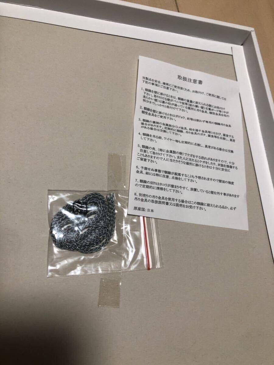 Amazon.co.jp: 埼玉西武ライオンズ源田壮亮選手新人王メモリアルフォト