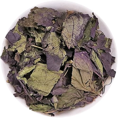 Hoja de perilla morada hojas de perilla hojas de perilla secas Zi Su Ye Shiso Albahaca Hojas de albahaca Perillae de folio seco Zi Su Ye Folia