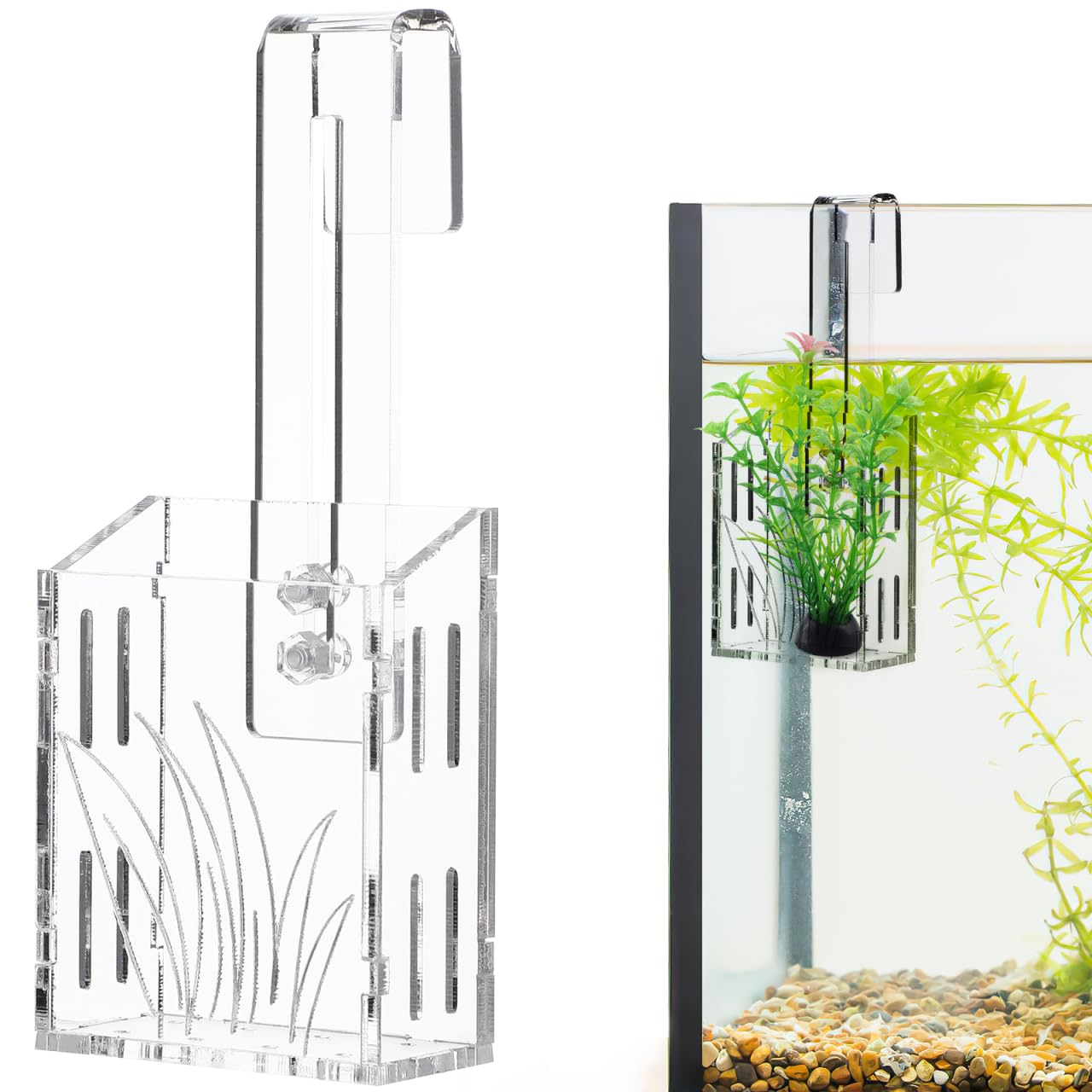 GOMETY 6 stuks aquariumplantenhouders, transparante