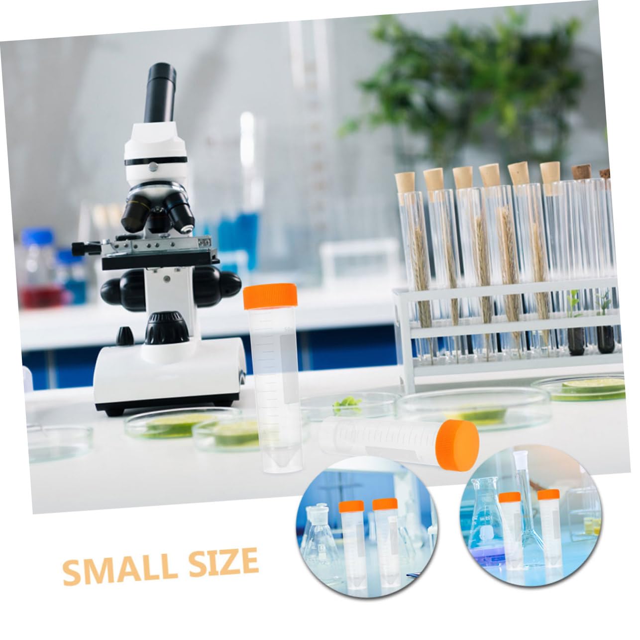 SOLUSTRE 40pezzi Tubi Da Laboratorio Con Vite Da Provette Trasparenti Per Esperimenti e Conservazione Campioni