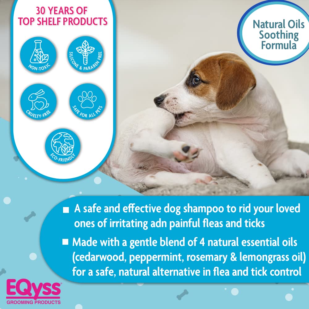 Is Rosemary Oil Safe For Dogs