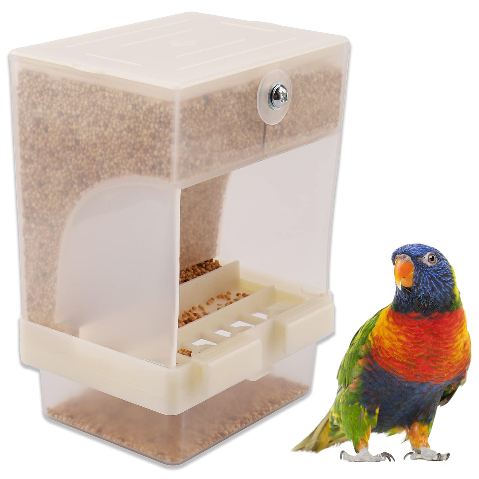 bird feeder automatic