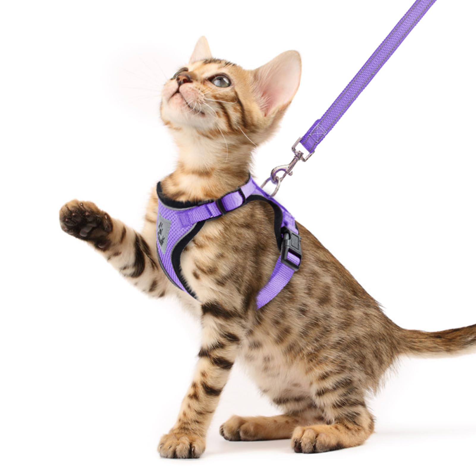 PUPTECK Cat Harness and Leash Set Escape Proof Reflective Cat Walking Harness Adjustable Soft Breathable Mesh Vest for Small Pets, Purple, XS