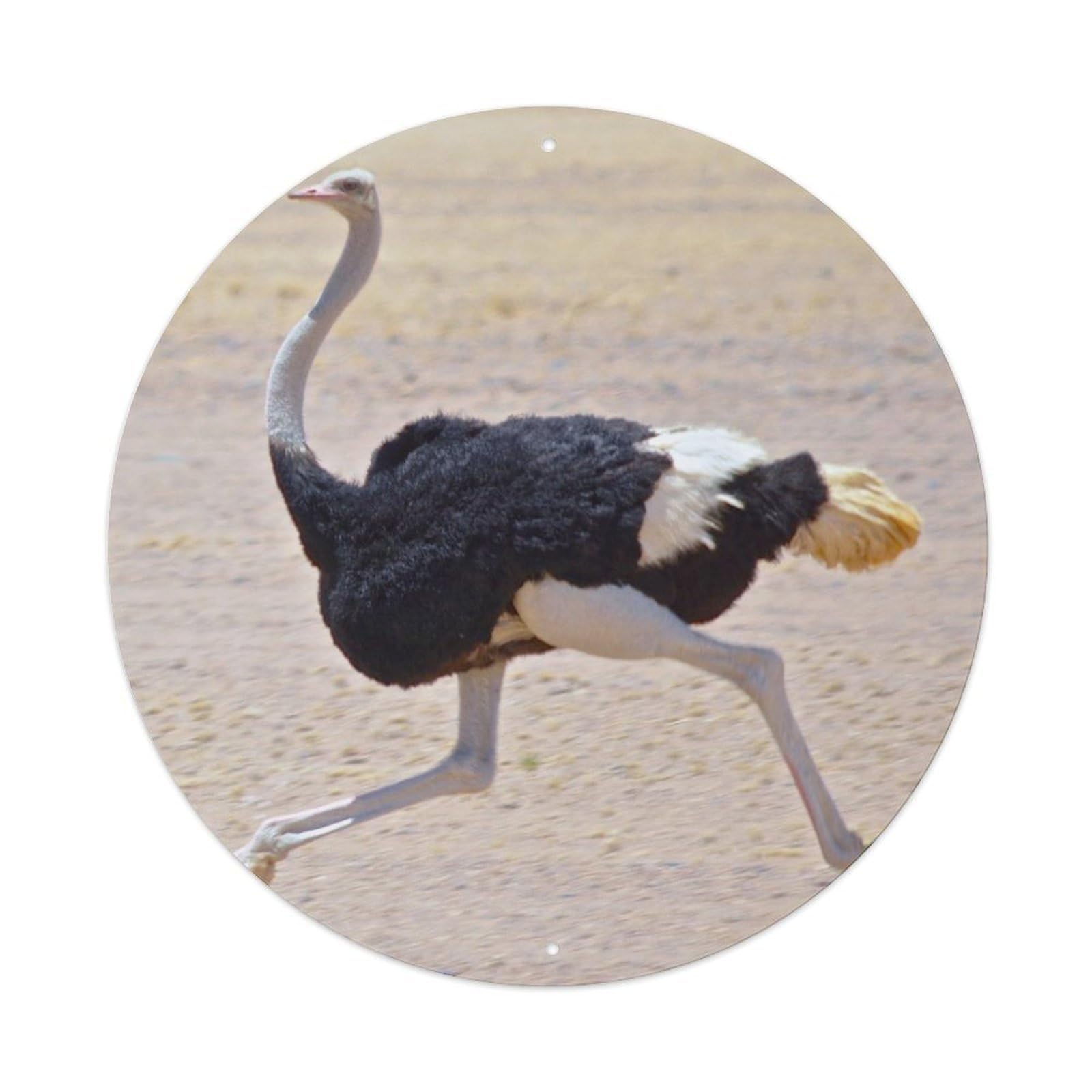 Wildlife Running Ostrich Vintage Metal Tin Sign Plaque Wall Decor for Cafe, Club, Garden Round Metal Poster 8x8Inch