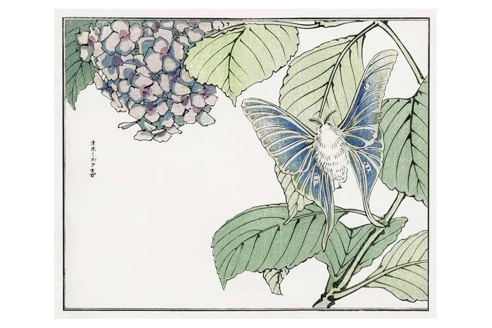 The Art of Japanese Woodblock Printing: 100 postcards from