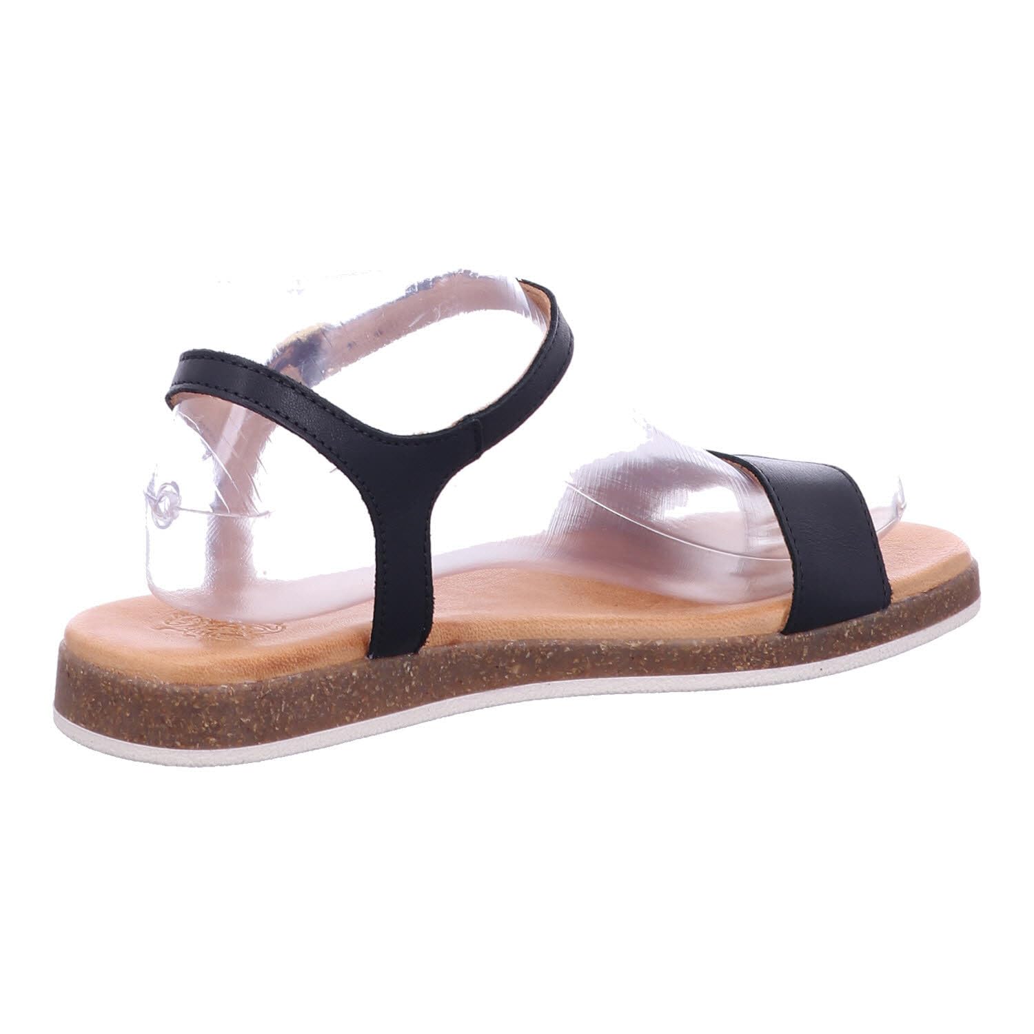 Apple of Eden Adult Master-Artikel SS24-ISA 1 schwarz