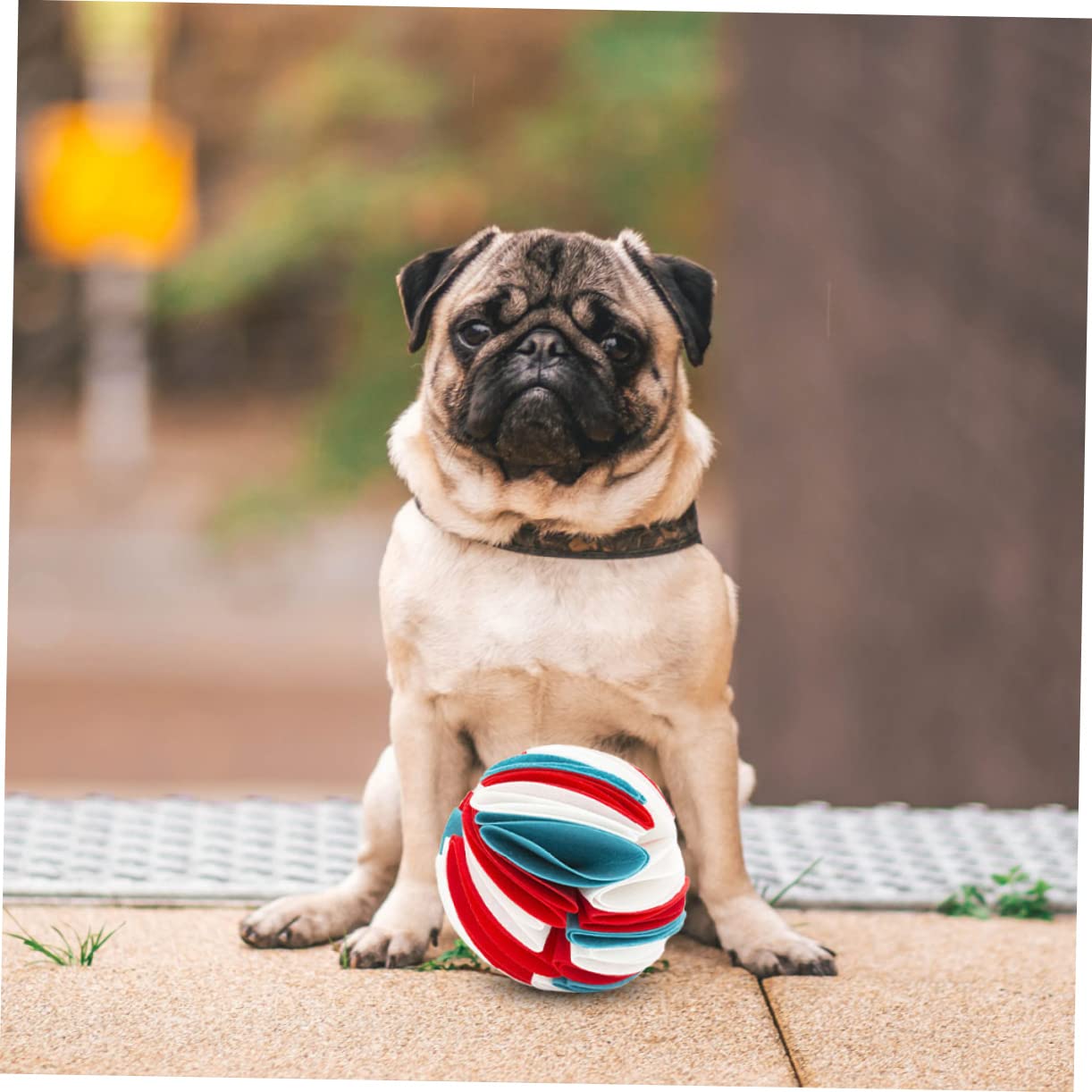 FRCOLOR 2 Bolas de olfateo para Perros, comedero para Nariz, dispensador de Comida para Gatos, Juguetes para Mascotas, Juguetes para Masticar para Perros, Perdidos, pistón oloroso, Tela de Fieltro