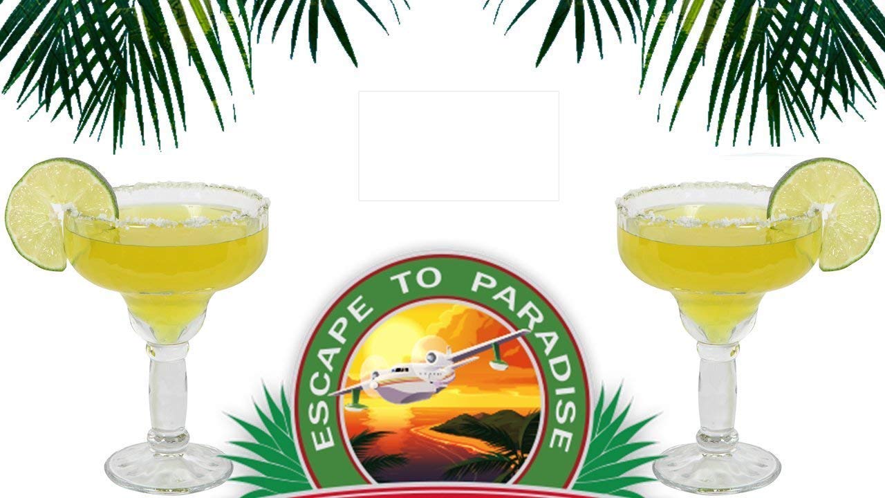 Buy TopNotch Outlet Yucatan Margarita Glasses Margarita Glasses Go