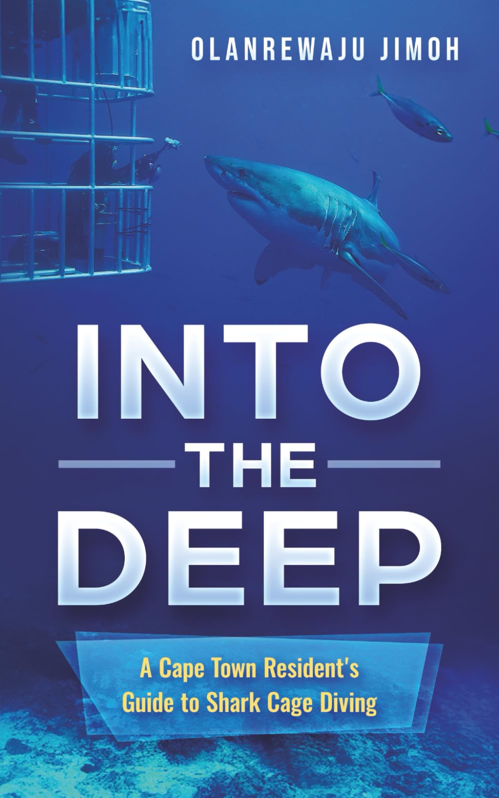 Into The Deep: A Cape Town Resident's Guide to Shark Cage Diving