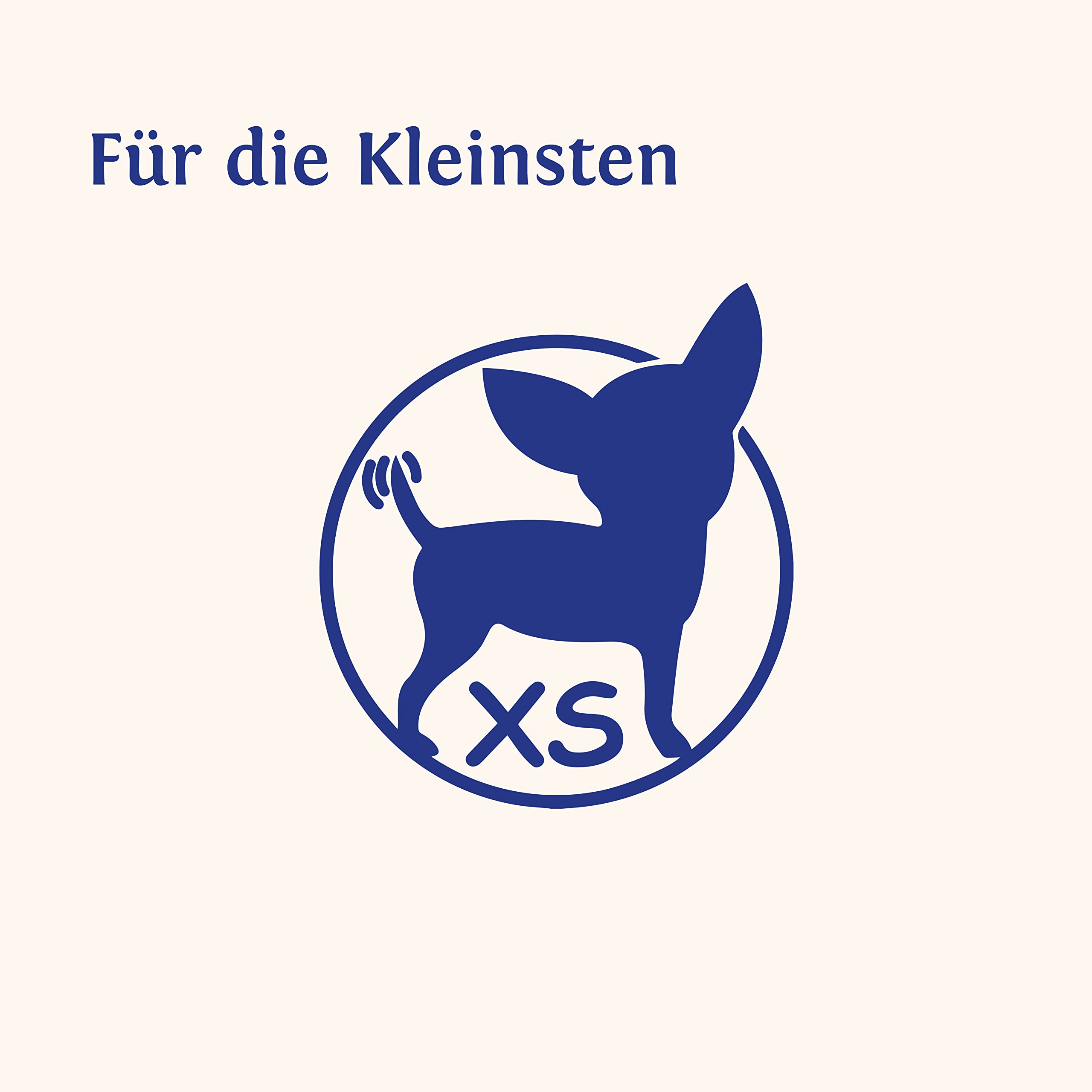Carnello Hundeleckerli – City Knochen Ulm – Kaustangen Hund, Hunde Leckerlis, Hunde Kauartikel, Kauwurzel für Welpen – Hundeleckerli Getreidefrei - Wiederverschließbare Beutel (3 x 30g)