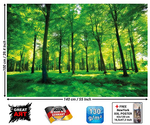 GREAT ART® XXL Poster - Alberi - Decorazione